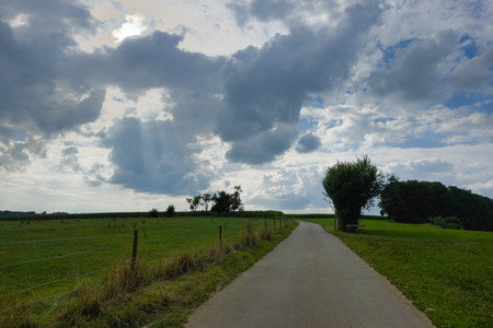 20250726_175445.jpg