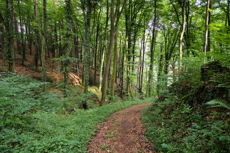 20250726_183057.jpg