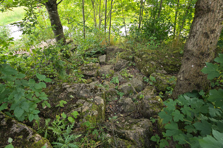 20250726_193505.jpg