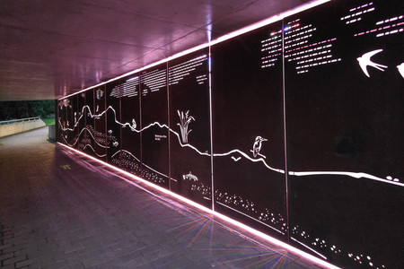 20250727_214024.jpg