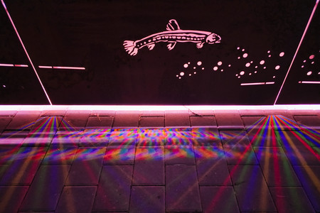 20250727_214415.jpg