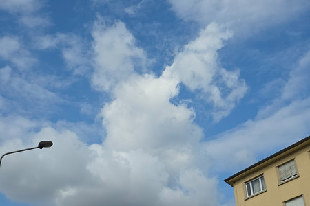 20250728_175307.jpg