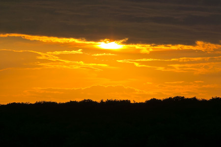 20250728_204913.jpg