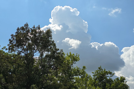 20250729_114415.jpg
