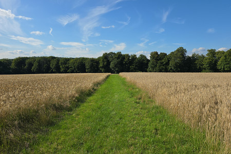 20250730_174412.jpg