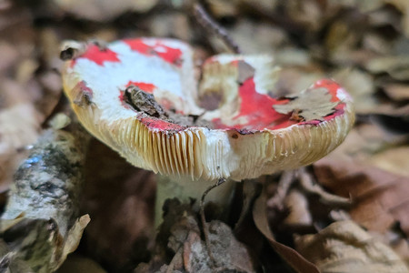 20250730_190900.jpg