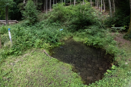 20250730_193525.jpg