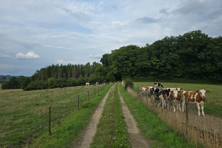 20250731_193700.jpg