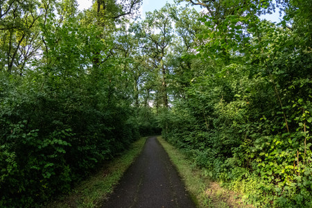20250801_182104.jpg