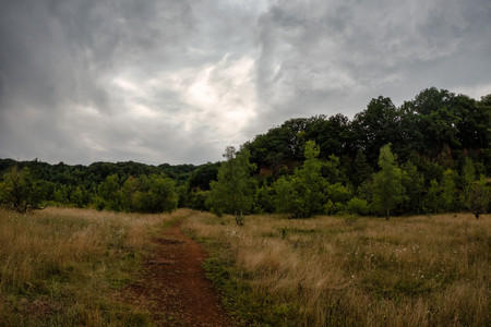 20250801_200151.jpg