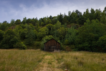 20250801_201336.jpg