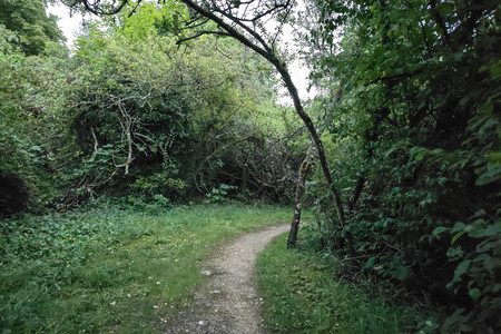 20250802_210654.jpg
