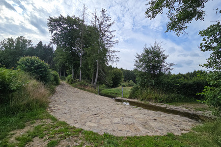 20250803_175023.jpg