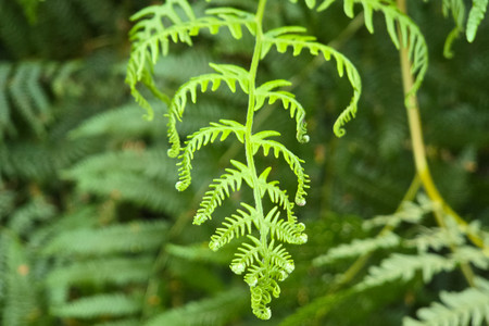 20250805_192041.jpg