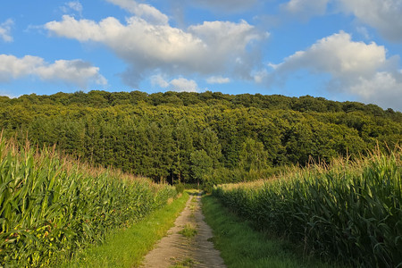 20250805_195413.jpg