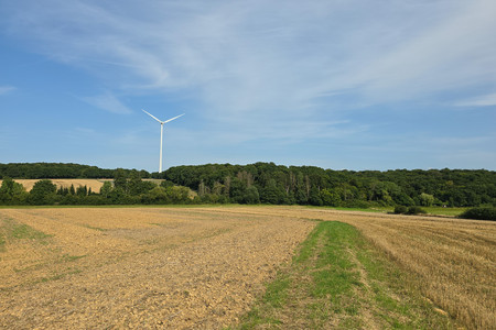20250806_164144.jpg