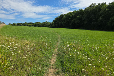 20250807_162433.jpg