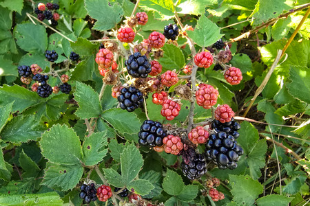 20250807_174316.jpg