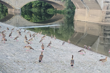 20250807_204328.jpg