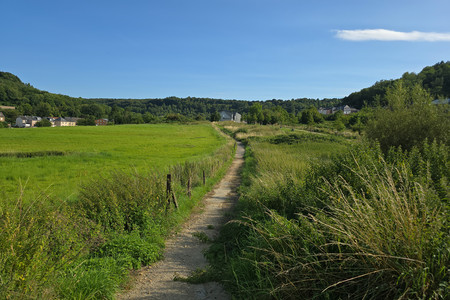 20250808_174512.jpg