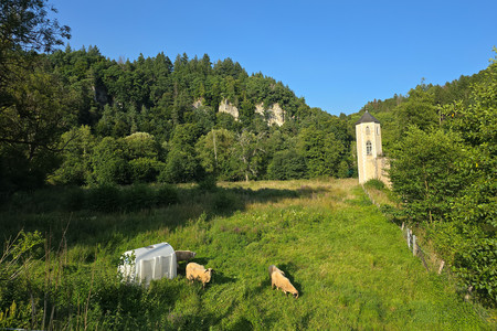 20250809_181849.jpg