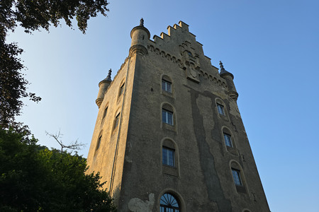 20250809_190306.jpg