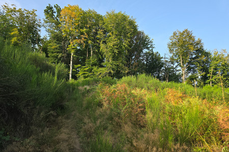 20250813_182425.jpg