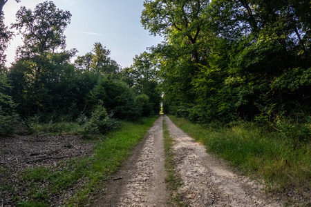 20250813_185321.jpg