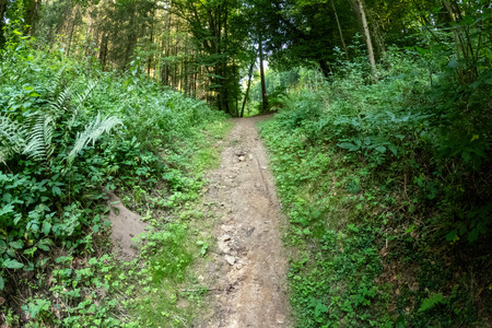 20250814_173411.jpg