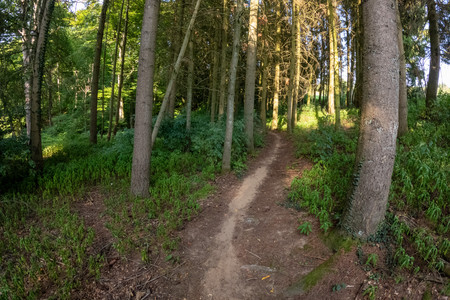 20250814_174614.jpg