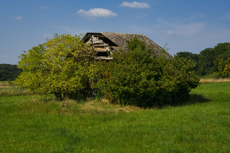 20250815_154706.jpg