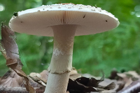 20250815_191409.jpg