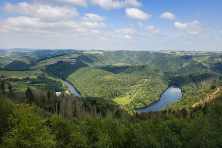 20250816_135014.jpg