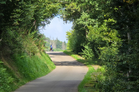 20250816_151153.jpg