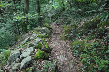 20250817_195549.jpg