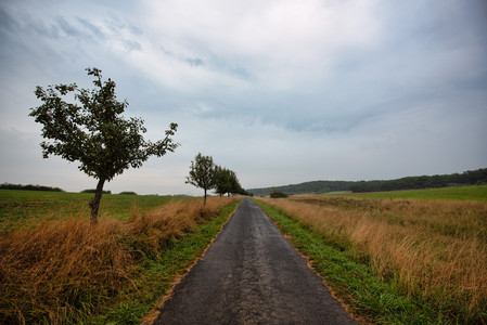 20250820_201445.jpg