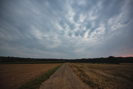 20250820_205955.jpg