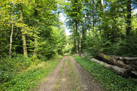 20250822_170142.jpg
