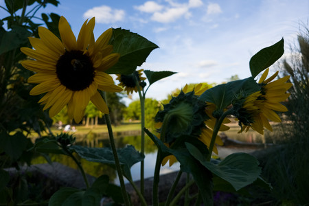 20250822_181731.jpg