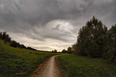 20250826_175315.jpg