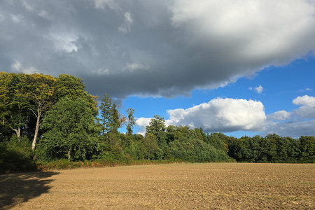 20250830_183614.jpg