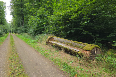 20250831_140423.jpg