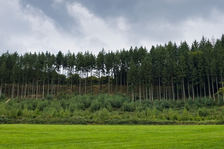 20250902_172156.jpg