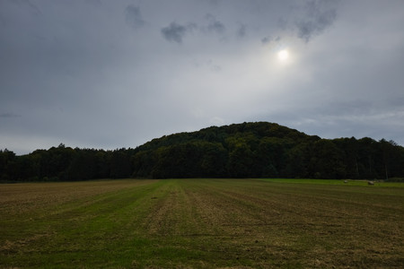 20250902_172412.jpg