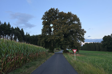 20250903_200359.jpg