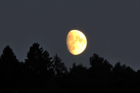 20250903_202509.jpg
