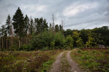 20250904_152631.jpg