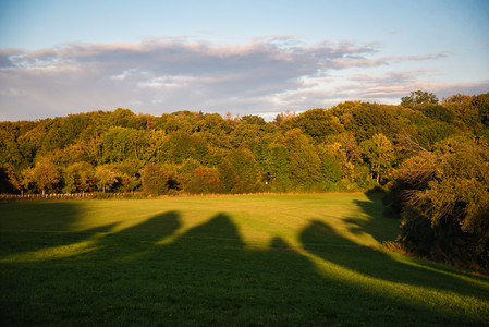 20250905_193744.jpg