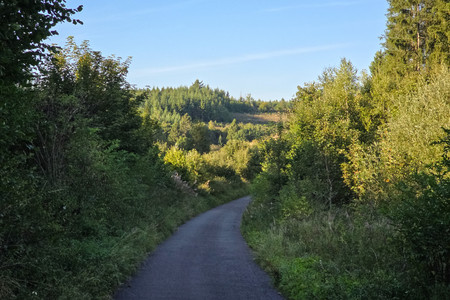 20250907_180616.jpg