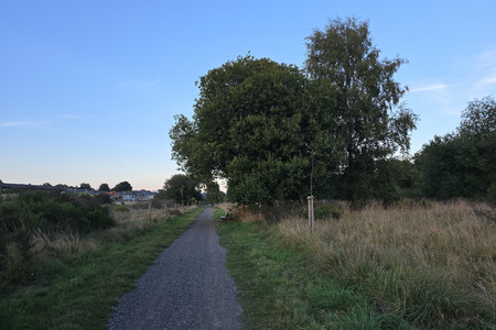 20250907_194046.jpg